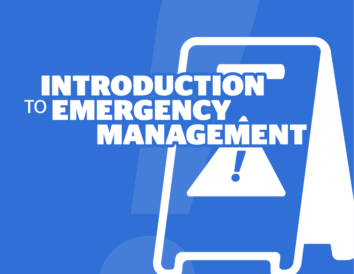 Product Picture of 1IO_IVSSEM